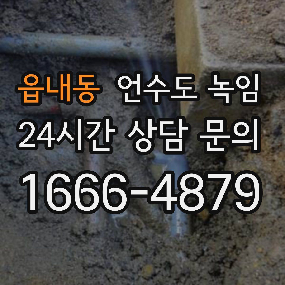 읍내동 언수도 녹임