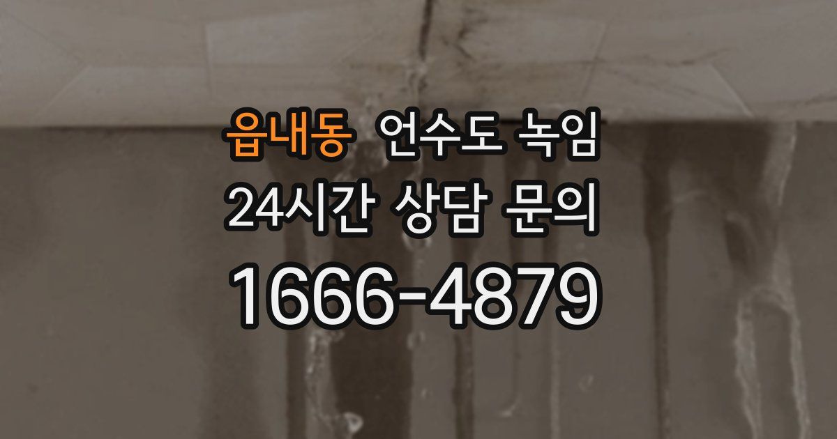 읍내동 언수도 녹임