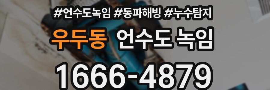 우두동 언수도 녹임