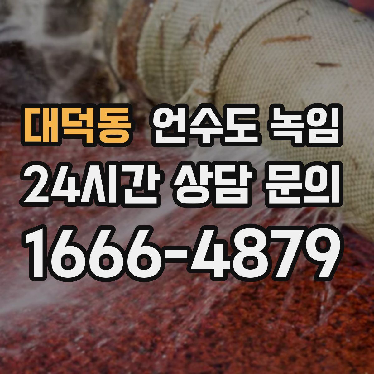 대덕동 언수도 녹임