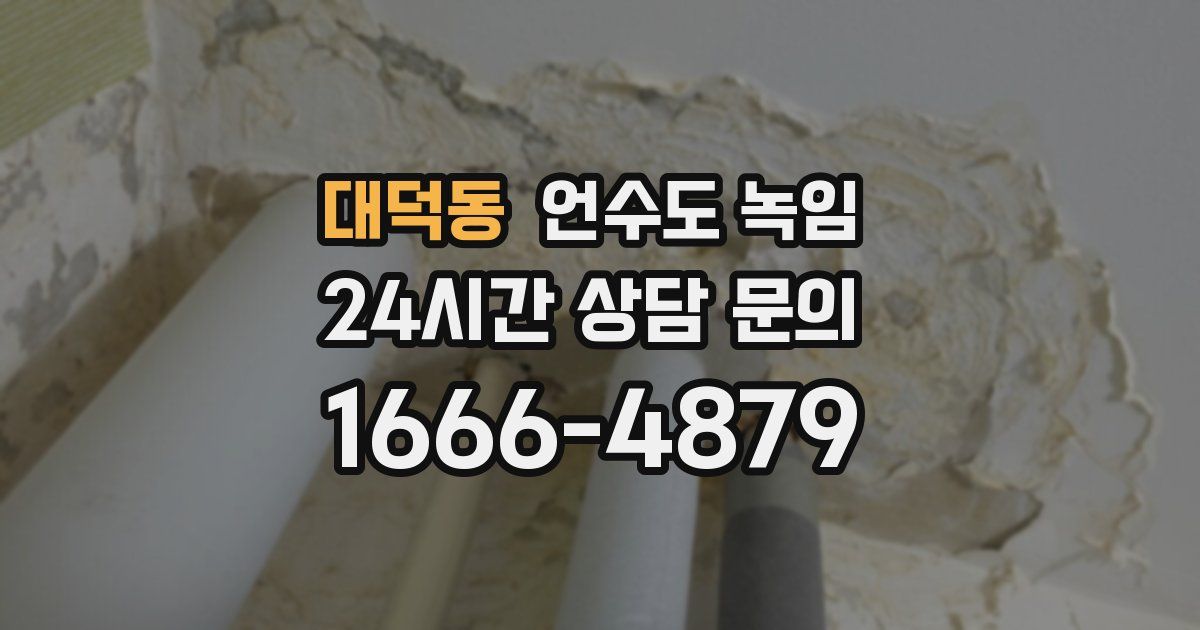 대덕동 언수도 녹임