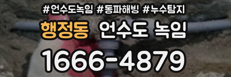 행정동 언수도 녹임