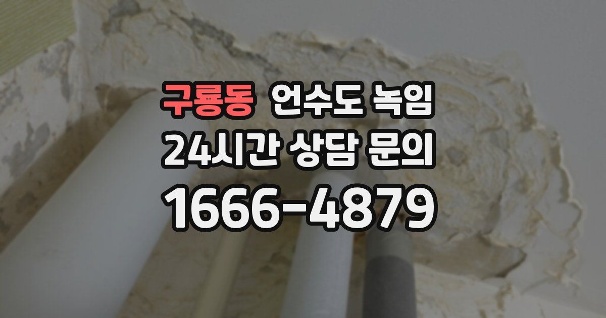 구룡동 언수도 녹임