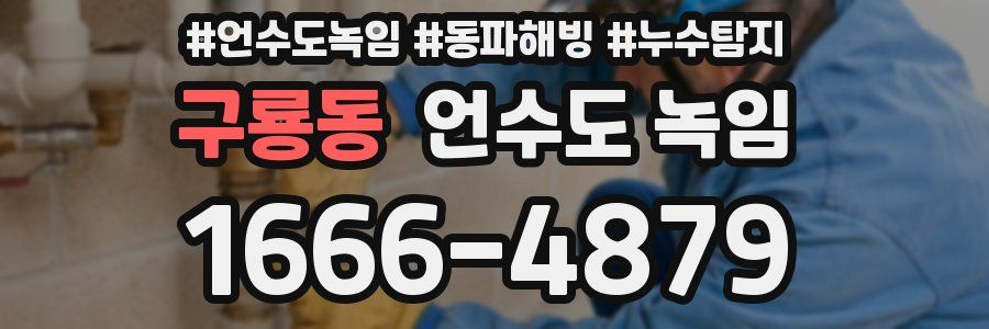 구룡동 언수도 녹임