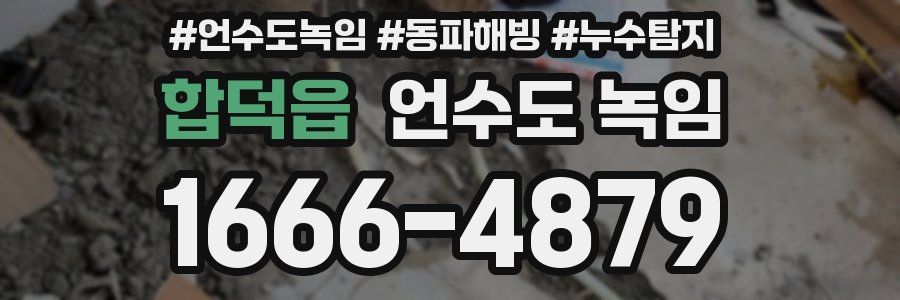 합덕읍 언수도 녹임