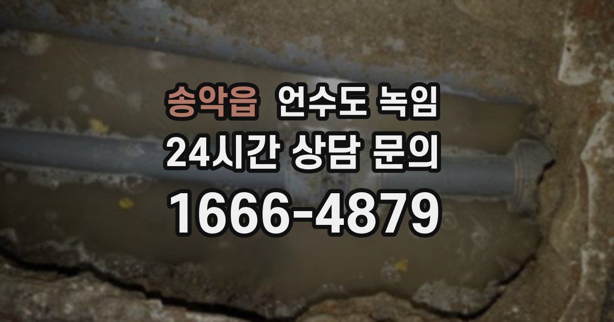 송악읍 언수도 녹임