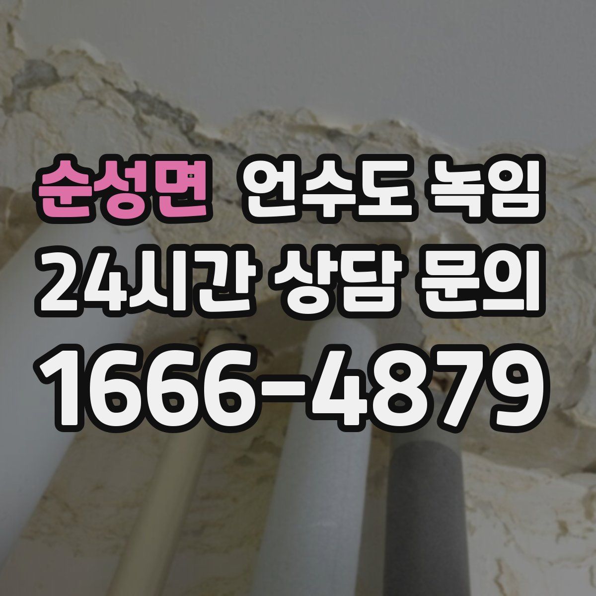 순성면 언수도 녹임