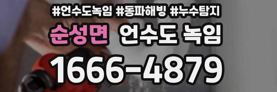 순성면 언수도 녹임