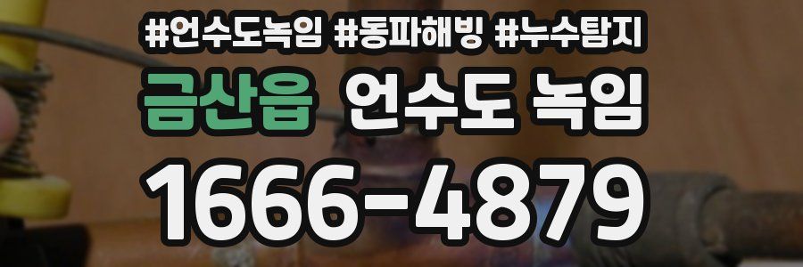 금산읍 언수도 녹임