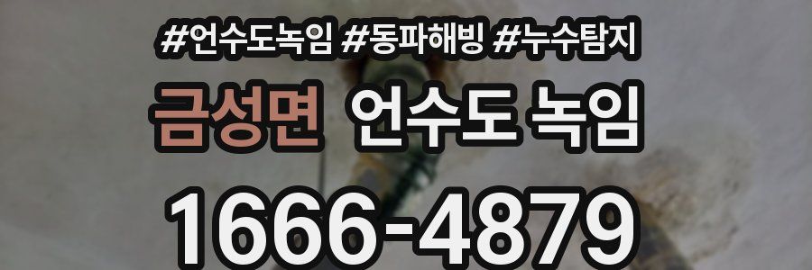 금성면 언수도 녹임