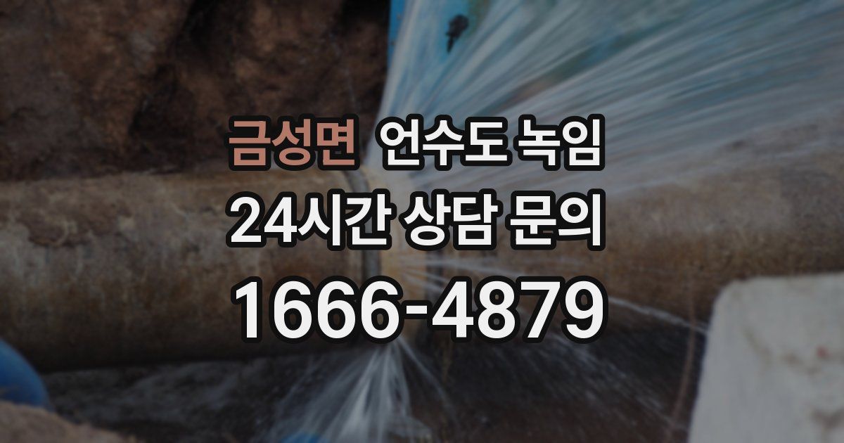 금성면 언수도 녹임