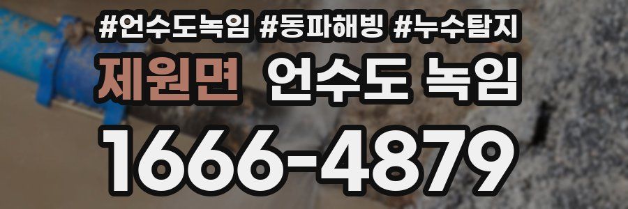 제원면 언수도 녹임