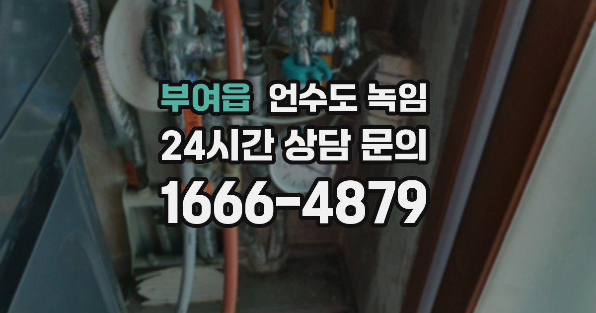 부여읍 언수도 녹임