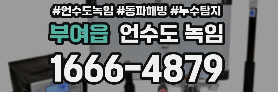 부여읍 언수도 녹임