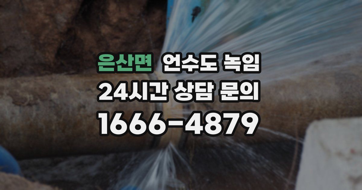 은산면 언수도 녹임