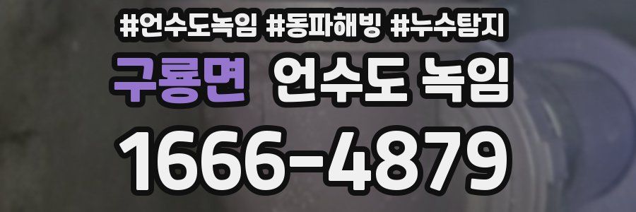 구룡면 언수도 녹임