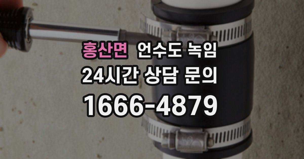 홍산면 언수도 녹임