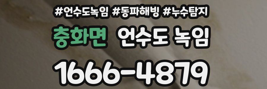 충화면 언수도 녹임