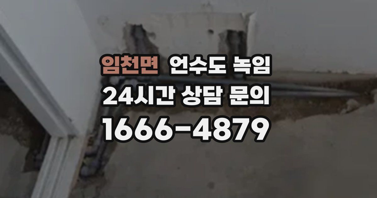 임천면 언수도 녹임