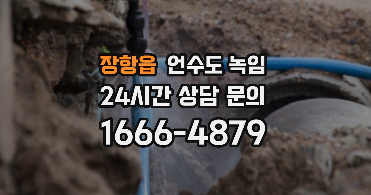 장항읍 언수도 녹임