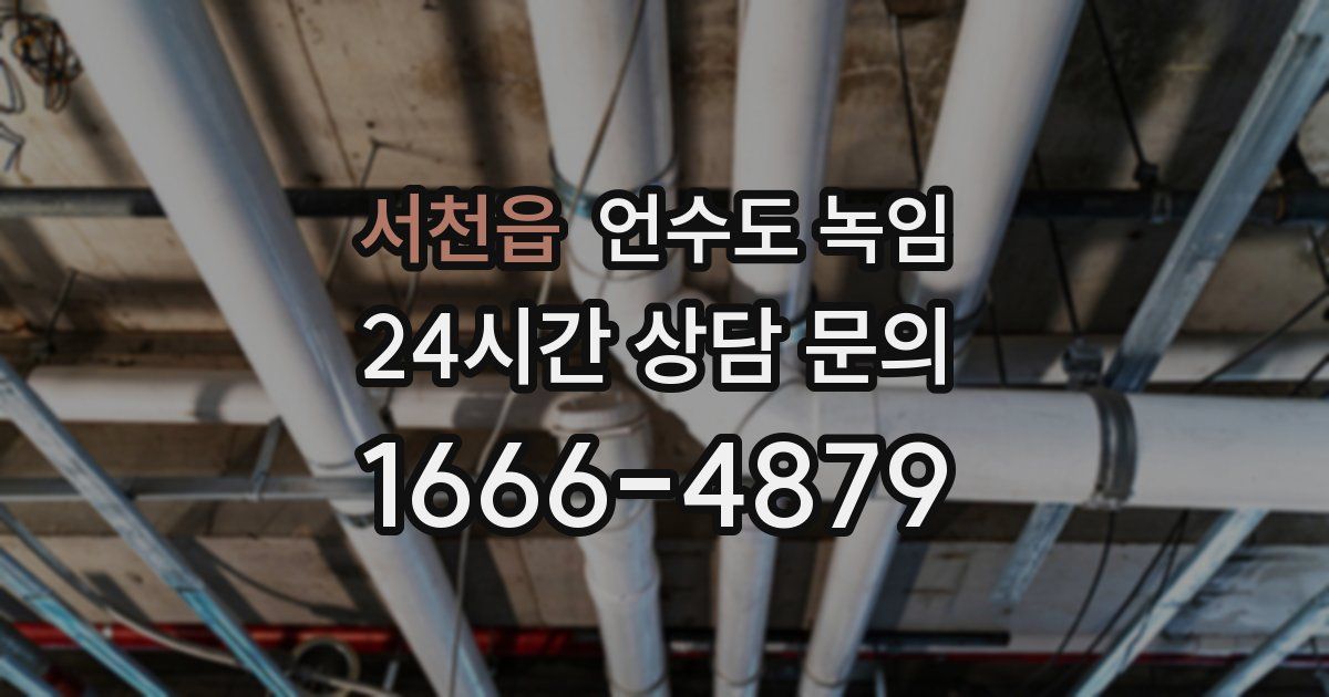 서천읍 언수도 녹임