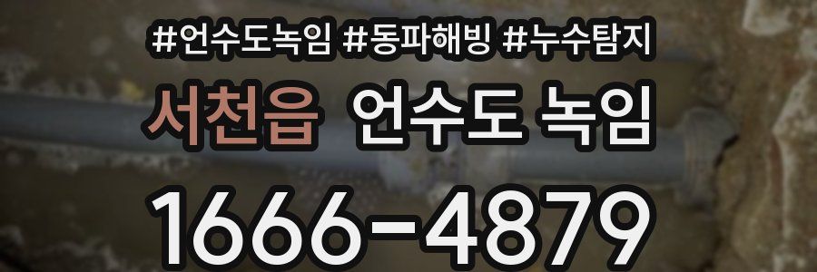 서천읍 언수도 녹임