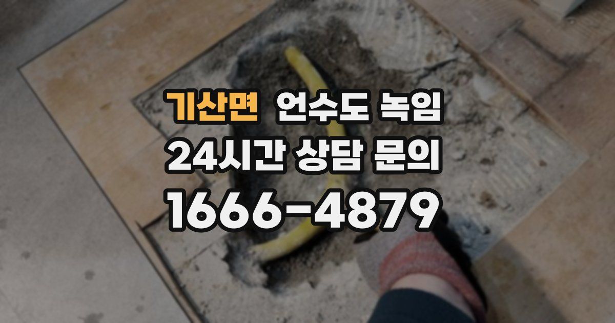 기산면 언수도 녹임