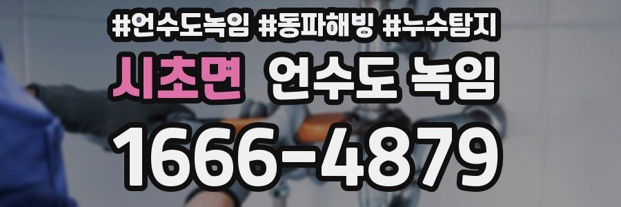 시초면 언수도 녹임