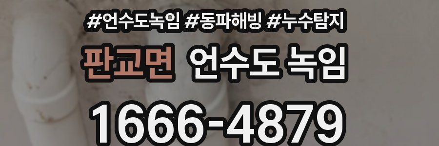 판교면 언수도 녹임