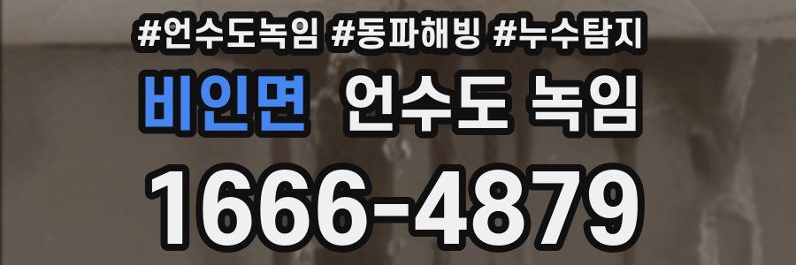 비인면 언수도 녹임