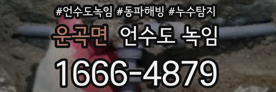 운곡면 언수도 녹임