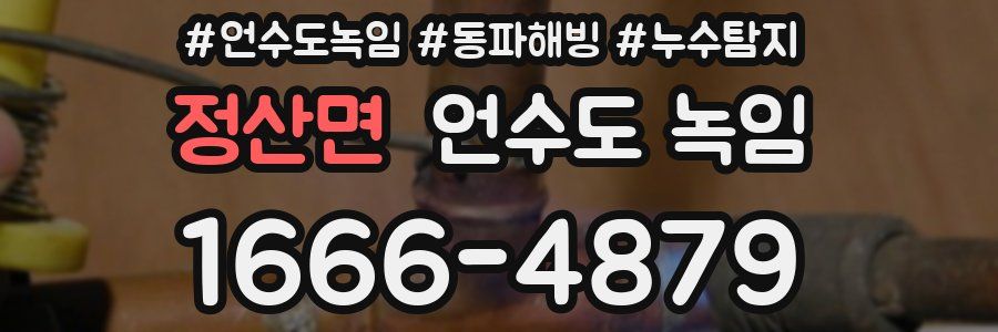 정산면 언수도 녹임