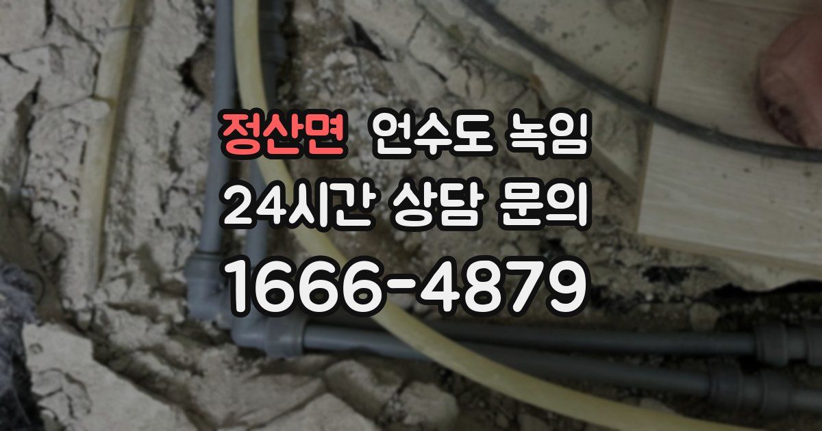 정산면 언수도 녹임