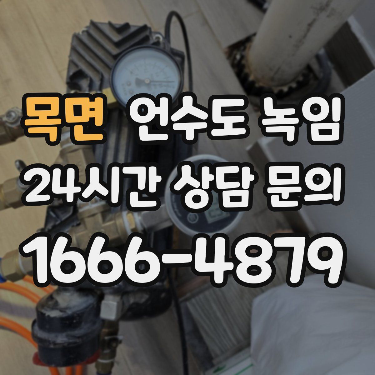 목면 언수도 녹임