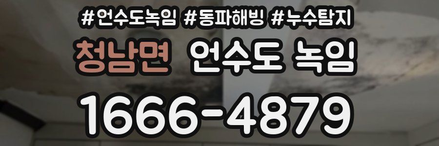 청남면 언수도 녹임