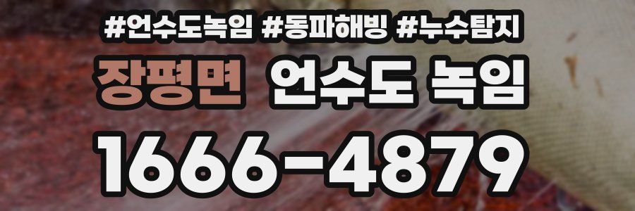 장평면 언수도 녹임