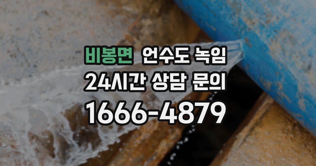 비봉면 언수도 녹임