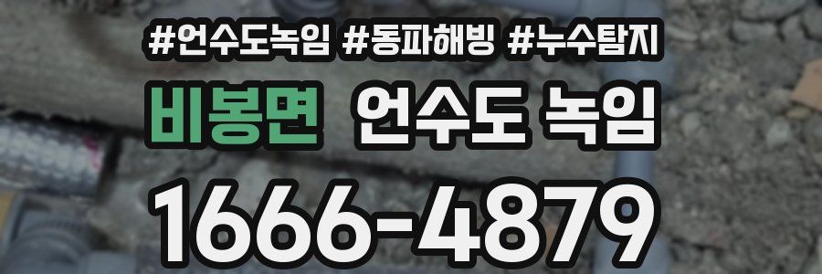 비봉면 언수도 녹임