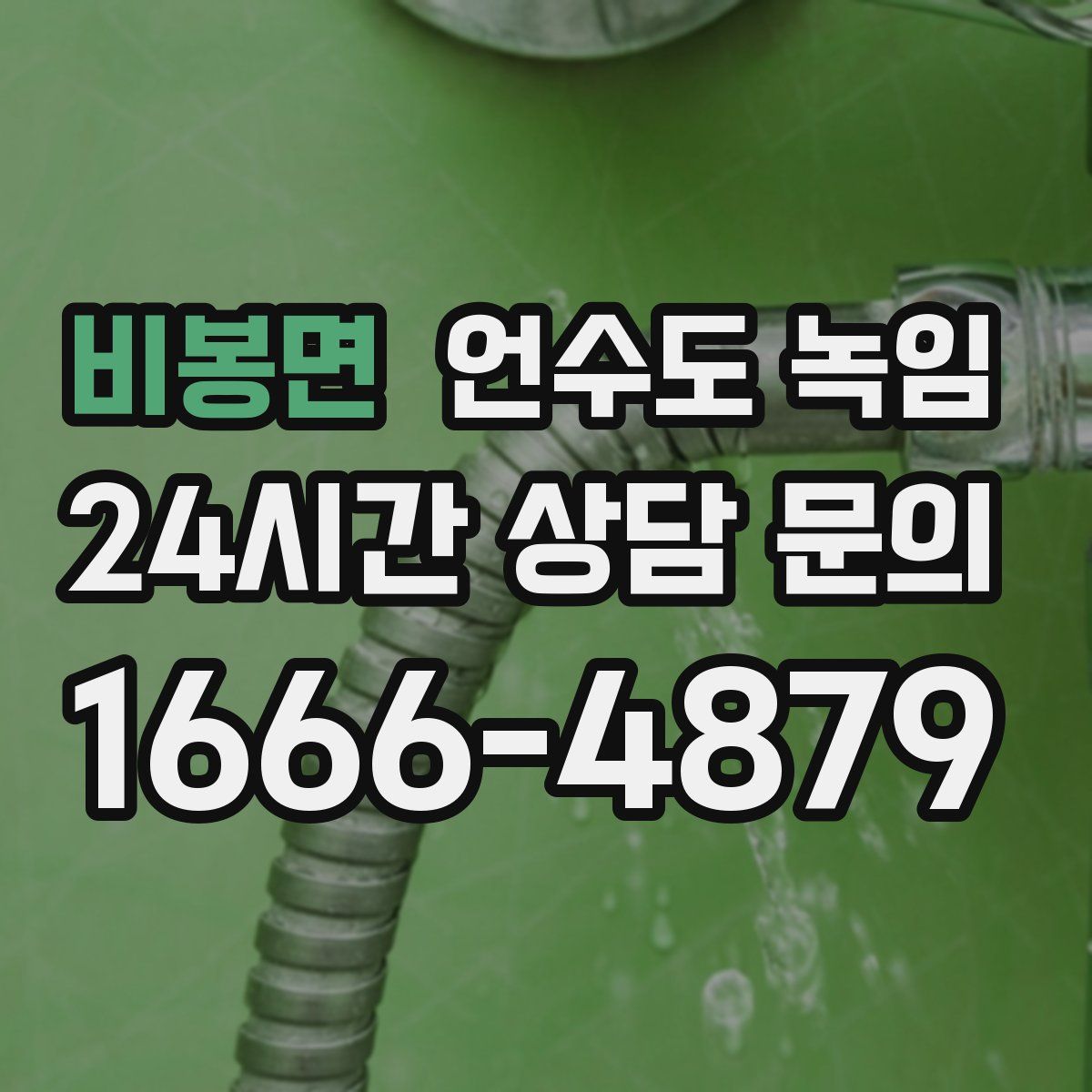 비봉면 언수도 녹임