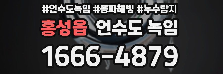 홍성읍 언수도 녹임