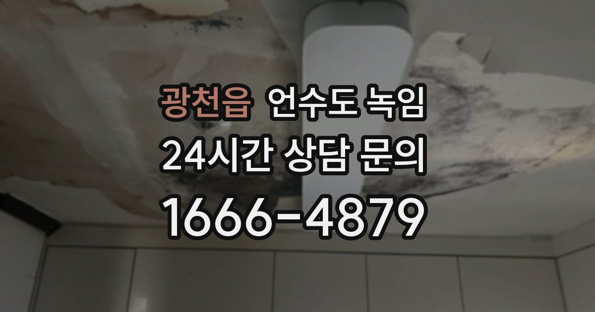 광천읍 언수도 녹임