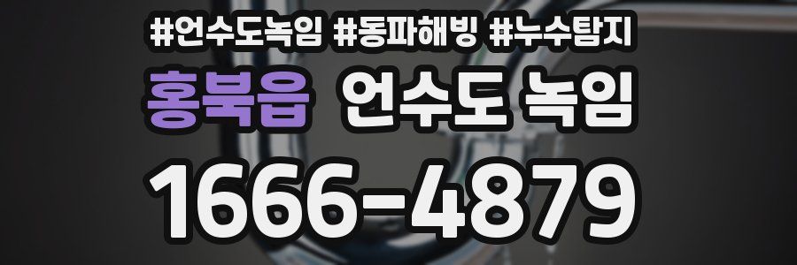 홍북읍 언수도 녹임