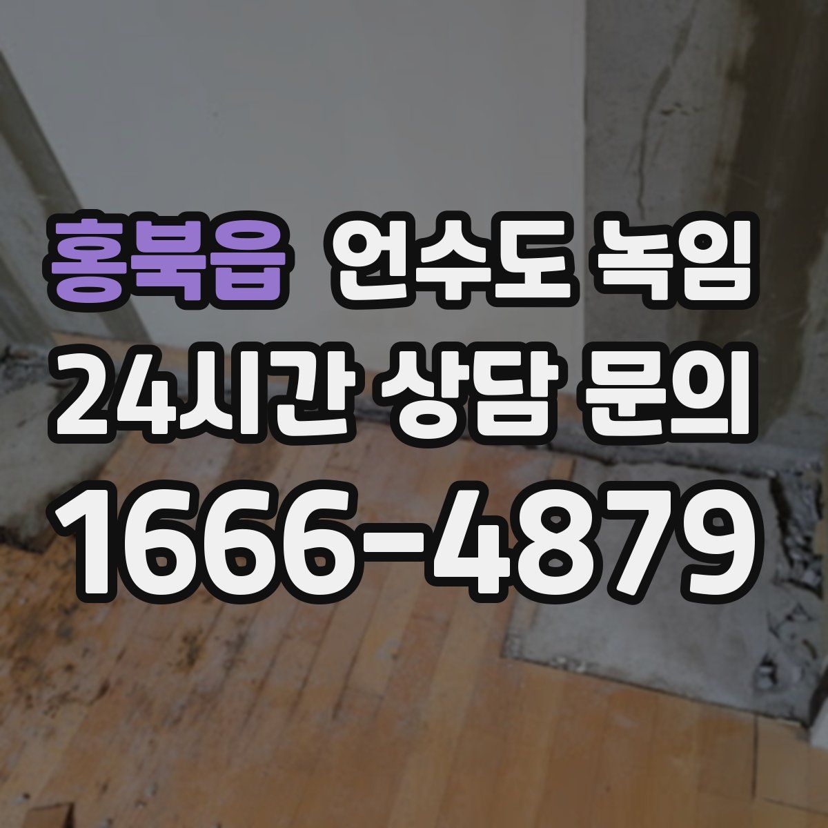 홍북읍 언수도 녹임