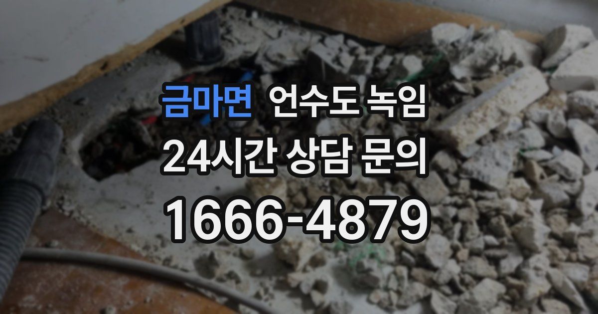 금마면 언수도 녹임