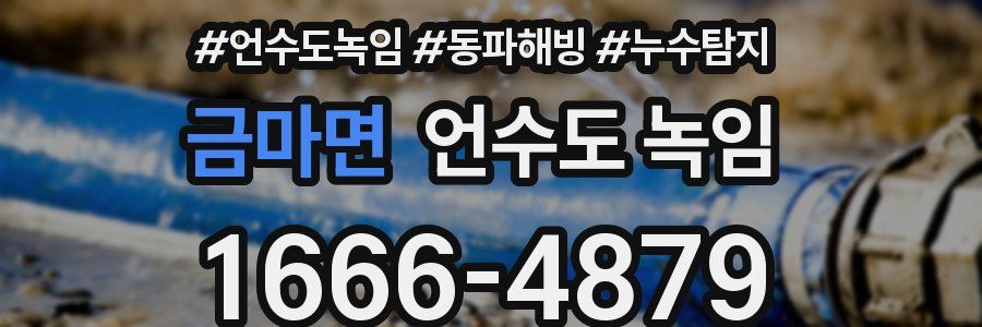 금마면 언수도 녹임