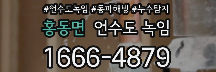 홍동면 언수도 녹임