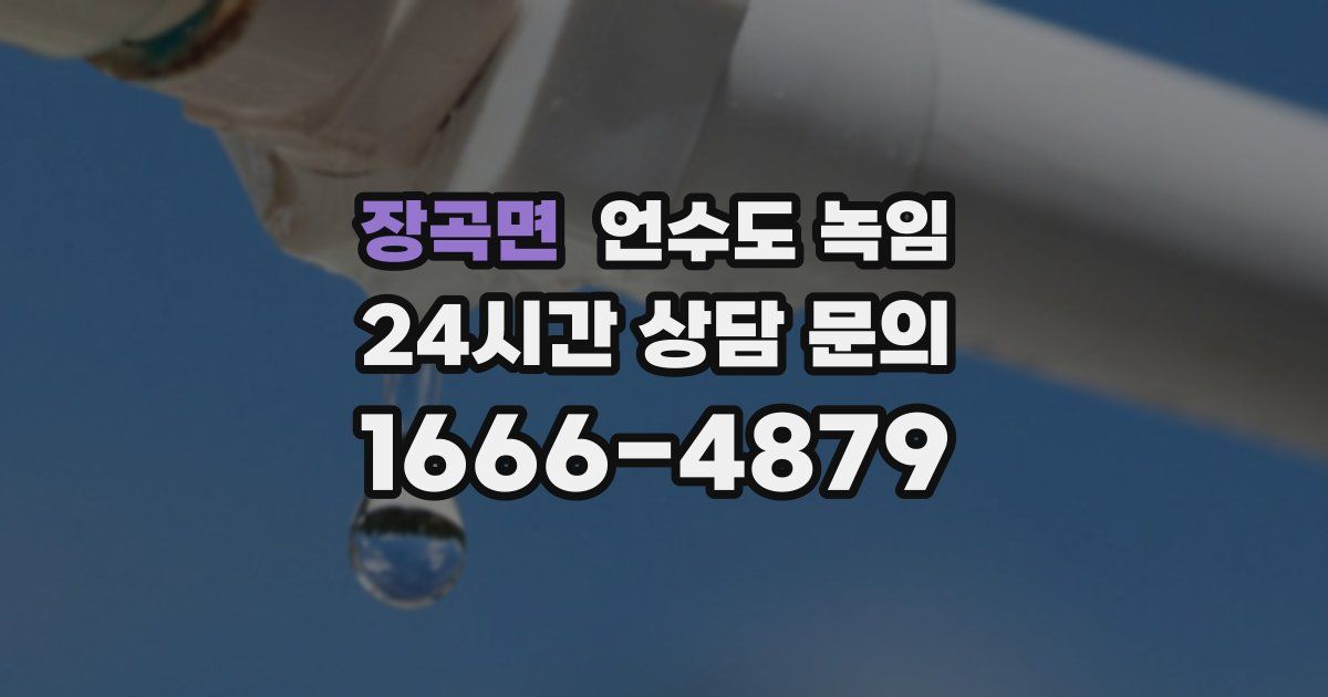 장곡면 언수도 녹임