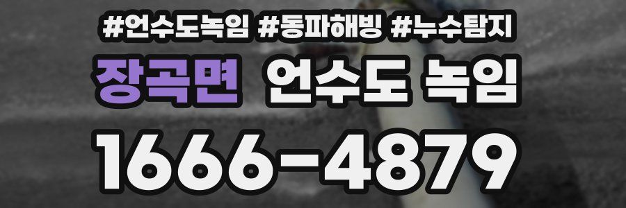 장곡면 언수도 녹임