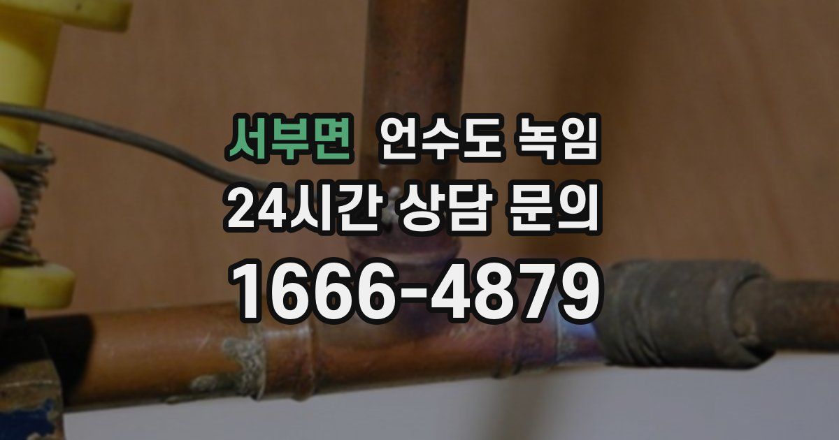 서부면 언수도 녹임