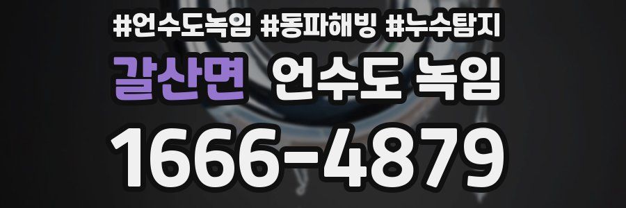 갈산면 언수도 녹임